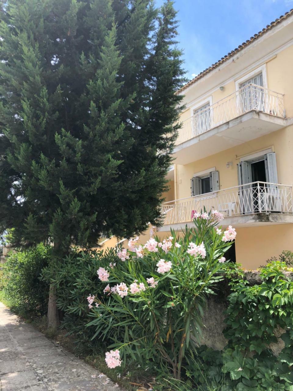 Gregos Rooftop Suite City Center W. Sea View Corfu  外观 照片